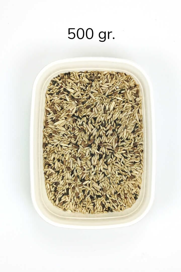 Kanarya Karışık Kuş Yemi Doğal Taze - 500 gr