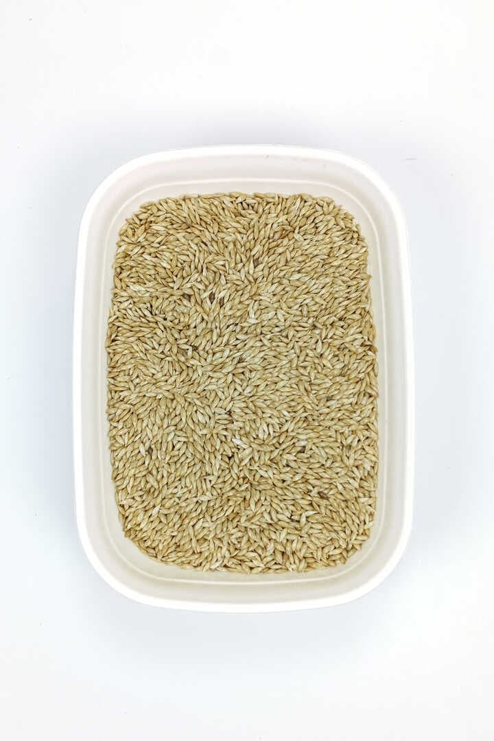 Doğal Taze Kanarya Sade Kuş Yemi - 500 gr