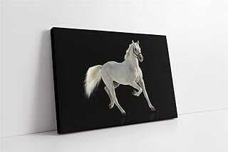 Zebra Sürüsü Kavas Tablo 80x120 cm KA32033