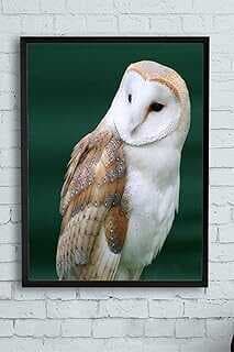 (10061) Baykuş Hayva Çerçeveli Tablo 2 (21x30cm)
