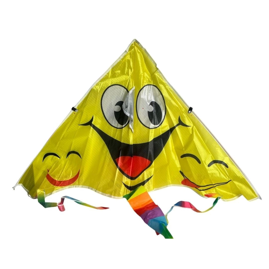 Nessiworld Renkli Uçurtma