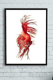 (13190) Saatsal Balık Hayva Çerçeveli Tablo 4 (30 X 40cm)