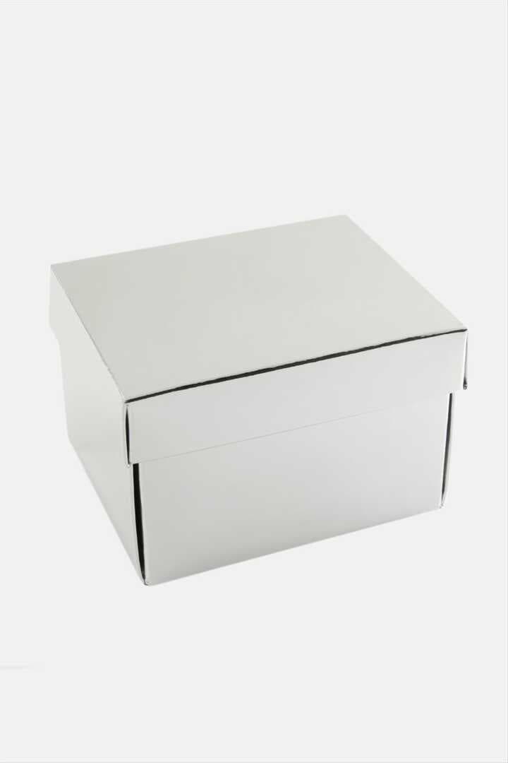 Gümüş Renkli Kapaklı Saat Kutusu