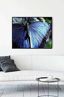 (11655) Kelebek Hayva Çerçeveli Tablo 2 (30 X 40cm)