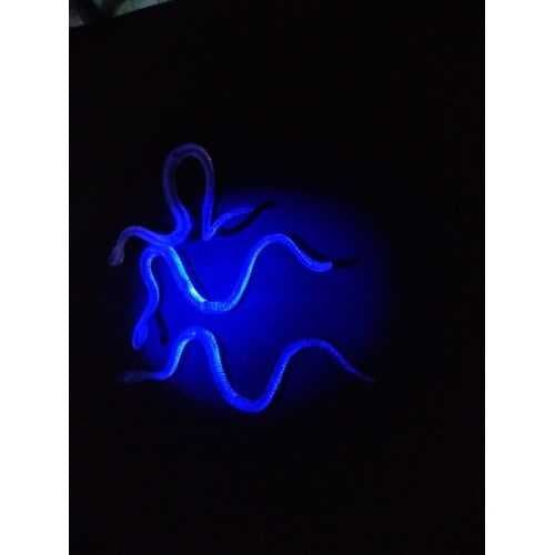 Şaka Yılan ve Kırkayak Karışık 36 Adet