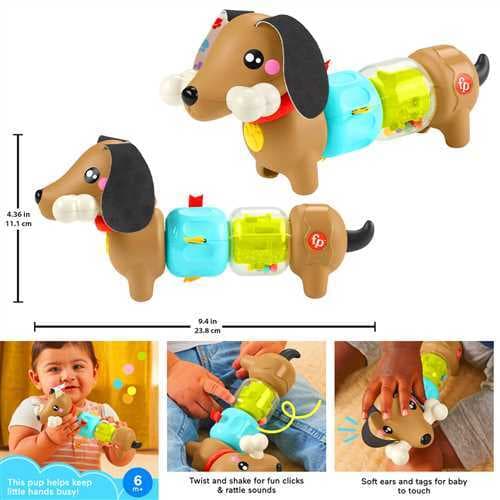 FİSHER PRİCE KÖPEKÇİKLE EĞLENCELİ AKTİVİTELER