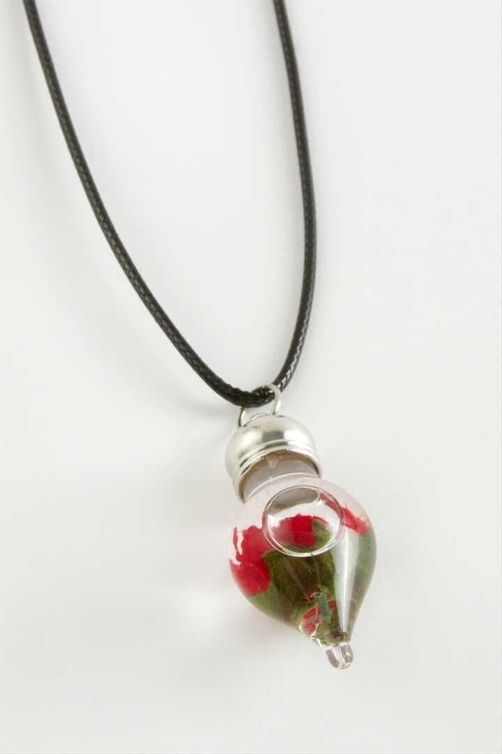 Gül Sulu Fanus Canlı Kolye