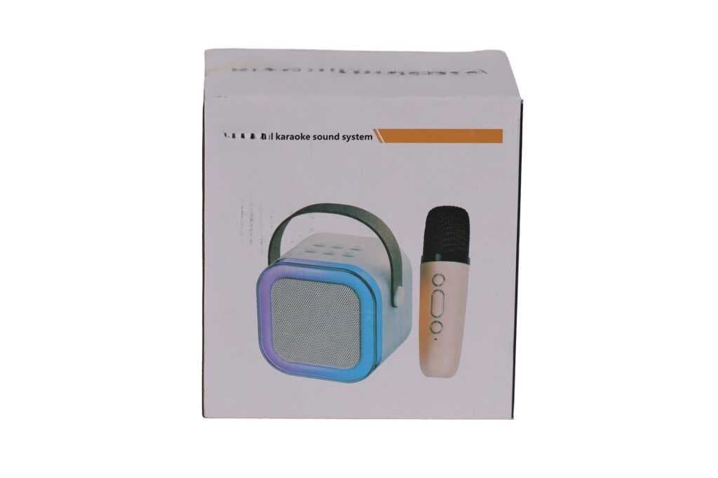 EMR-102 KUTULU 2Lİ KARAOKE MİKROFON