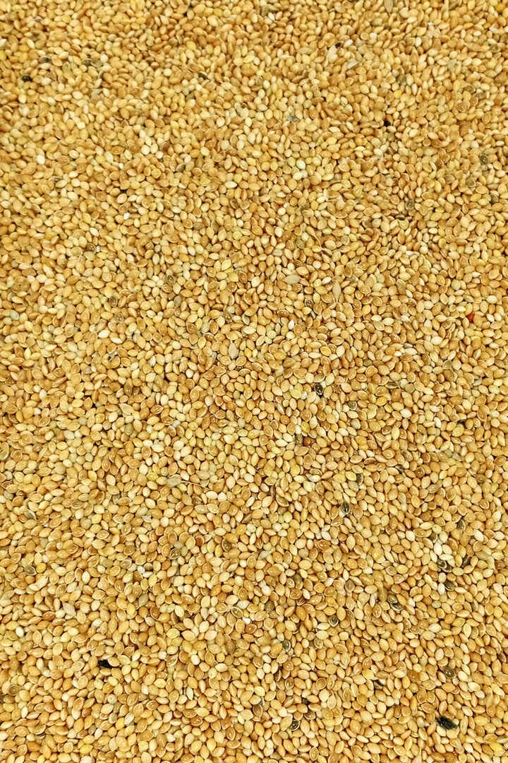 Muhabbet ve Tüm Egzotik Kuşlar İçin Doğal Taze Tane Sarı Darı - 1 kg