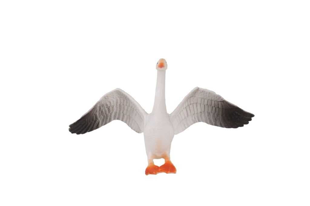 KZL-HY714-1  KUŞLAR