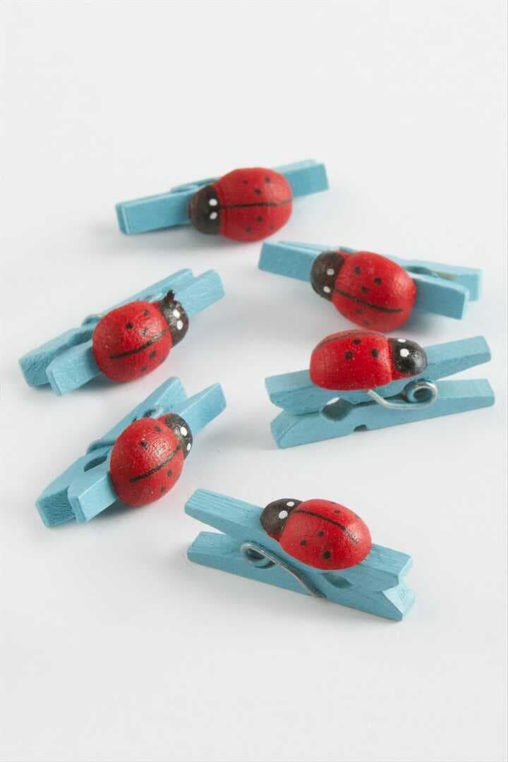 1 Adet Uğur Böceği Süs Mandal