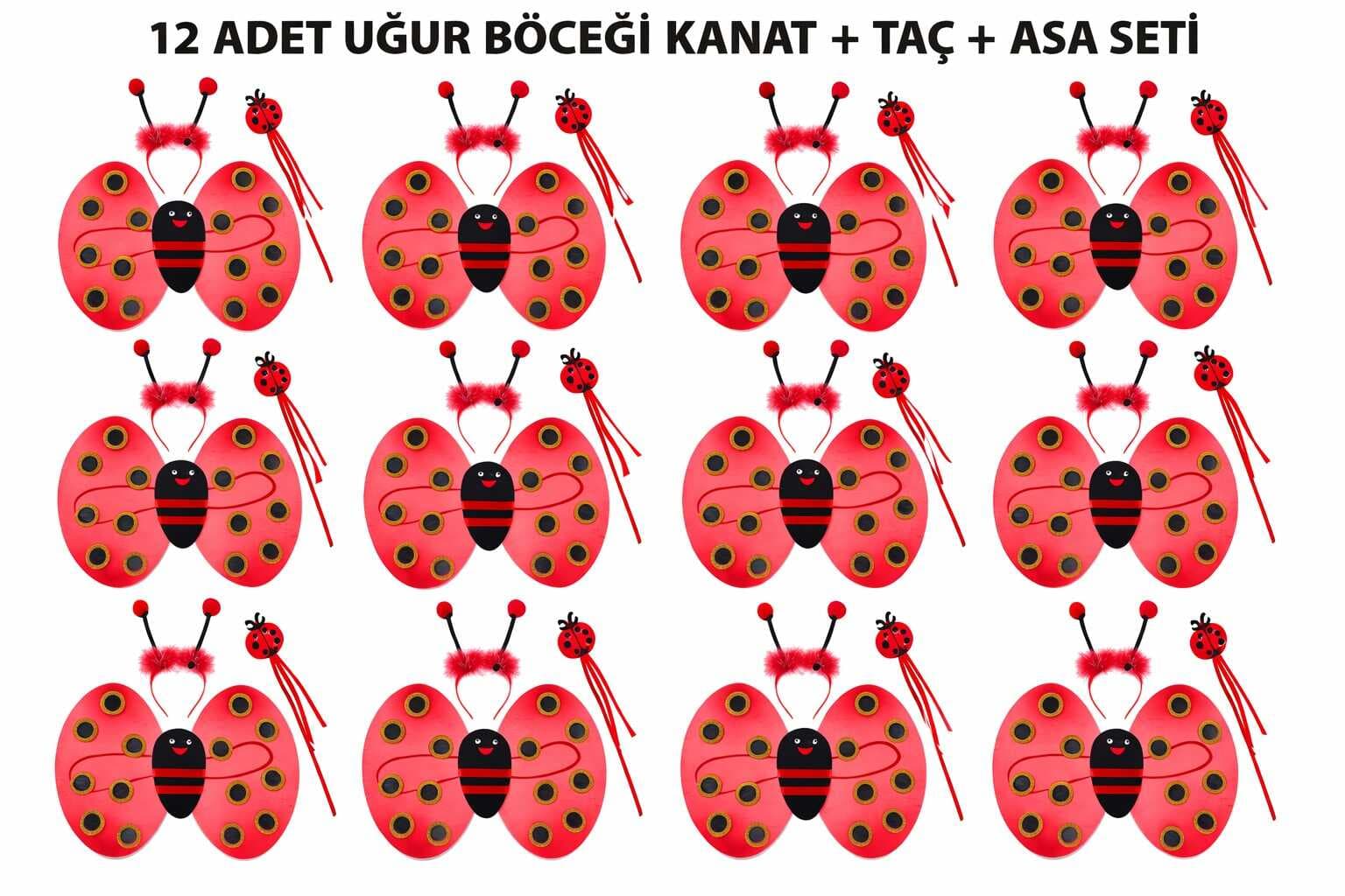 Uğur Böceği Kostüm Seti - Kanat Taç Asa 3 Parça 12 Adet (5430)