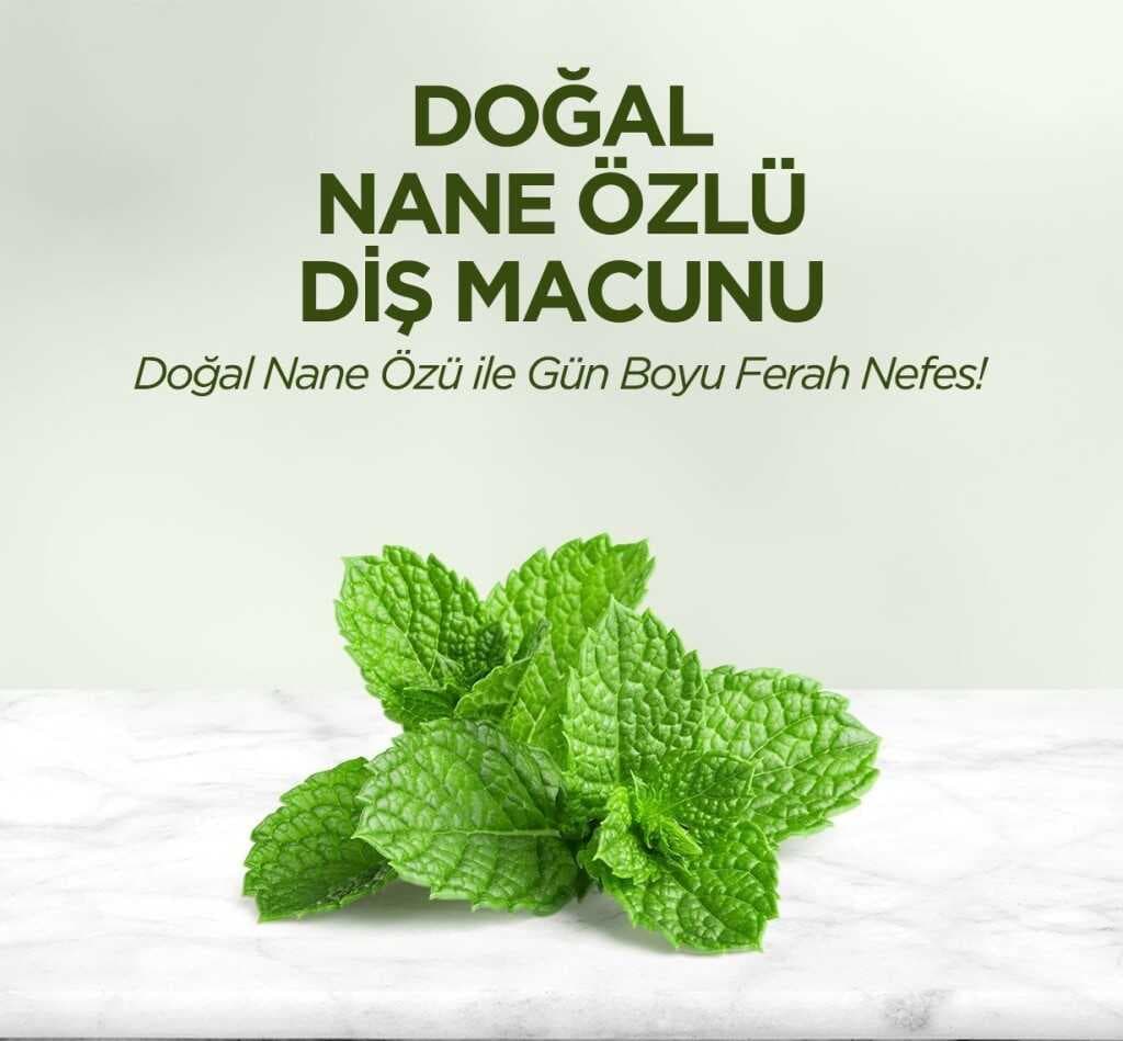 Doğal Diş Macunu 90 Gr Nane Özlü