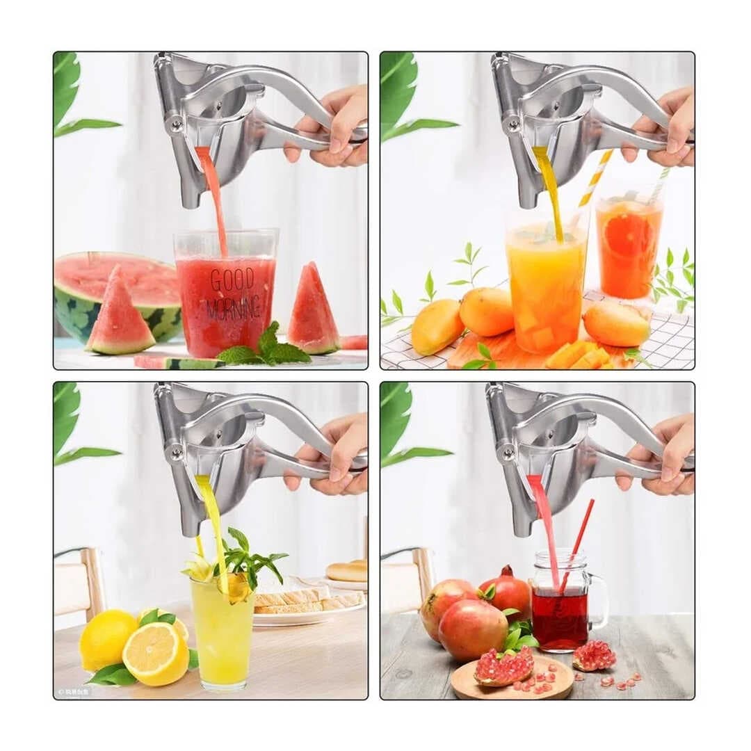 NARENCİYE MEYVE SIKACAĞI (4767)