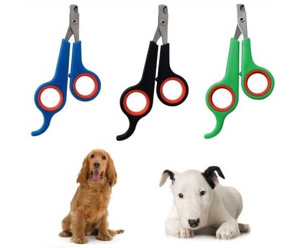 Kedi Köpek Tırnak Makası Renkli Poşetli (5430)