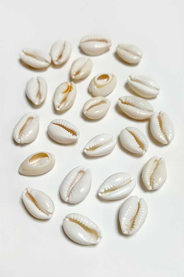 10 Adet Orjinal İstiridye Aparatı Küçük