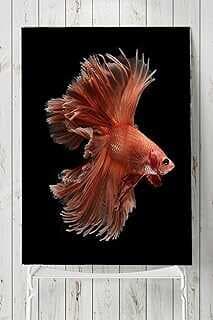 (8030) Saatsal Balık Hayva Posteri (70x100cm)