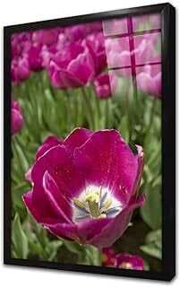 Çiçek Çerçeveli Cam Tablo 30x40 cm CA03534