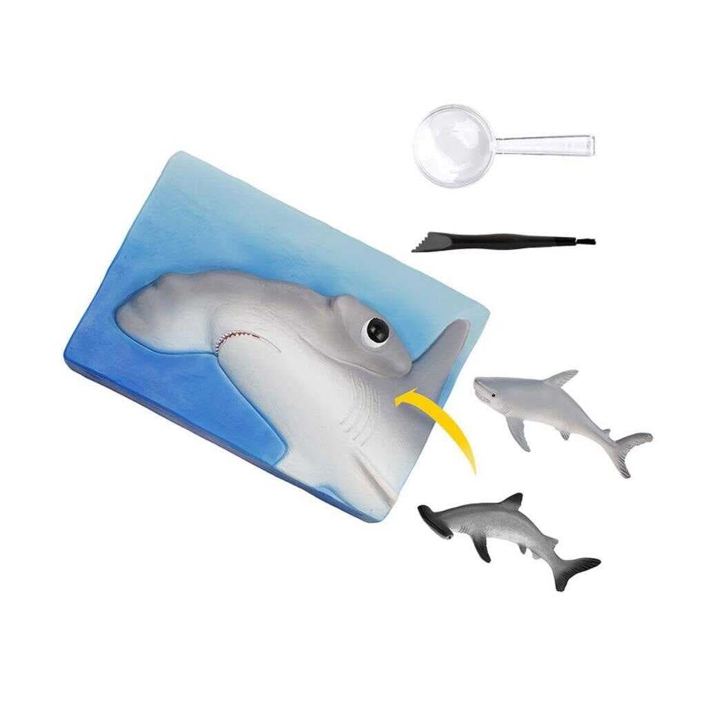 Nessiworld NAT07002 National Geographic Köpek Balığı Bulma Kiti - TRHAMSHDIG +6 yaş