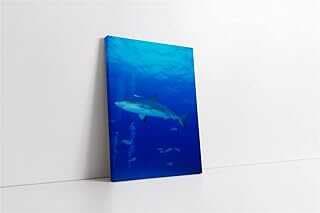 Yuus Kavas Tablo 20x30 cm KA32194