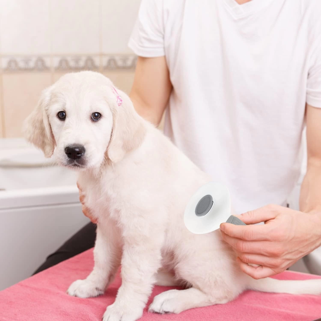Kedi Köpek Tüy Toplayıcı Pet Tarak 20 Cm