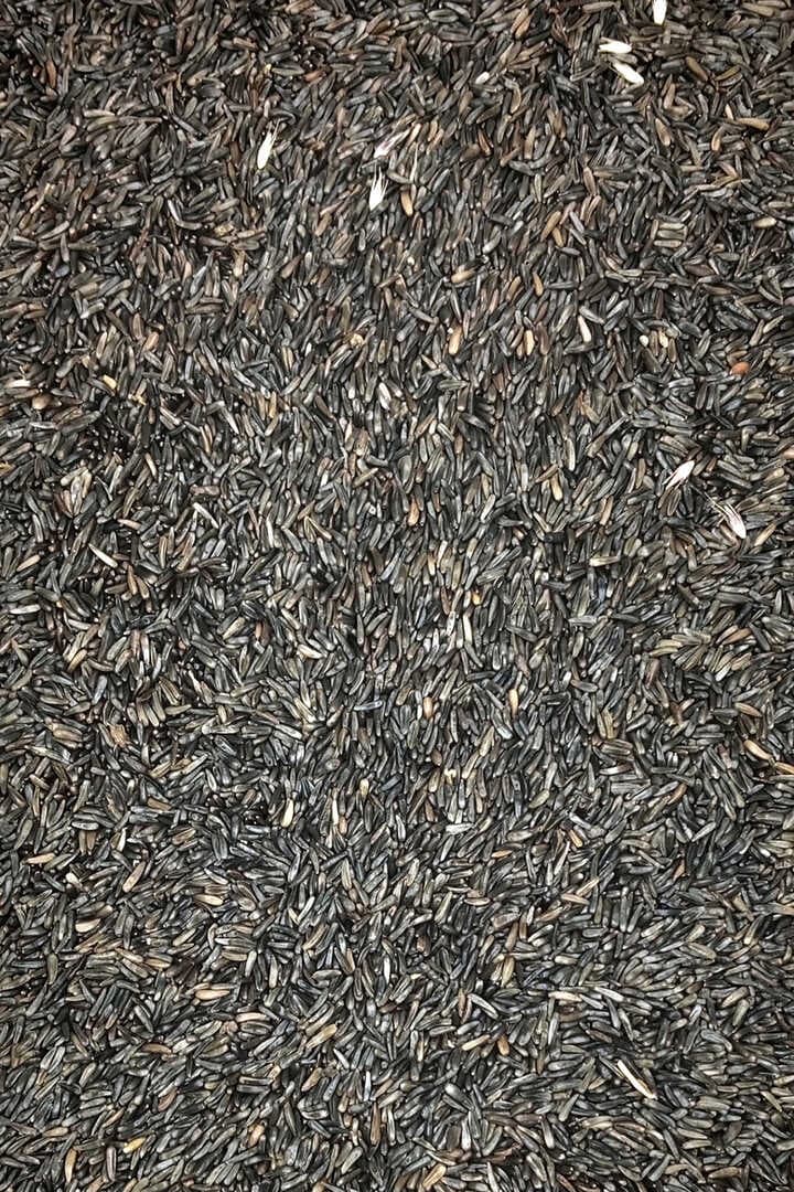 Nijer Tohumu Doğal Taze Takviye Kuş Yemi - 5 kg