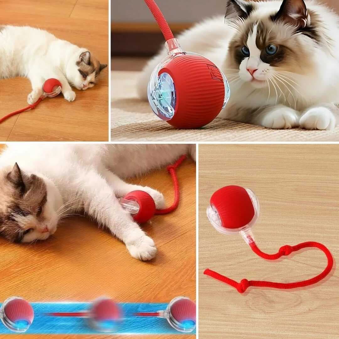 Şarjlı Otomatik Hareketli Kedi Köpek İçin 360 Derece Dönen İnteraktif Akıllı Oyun Topu (5430)
