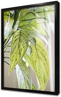 Yaprak Çerçeveli Cam Tablo 20x30 cm CA03180