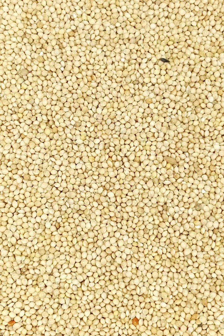 Ak Darı Sade Tozsuz Doğal Taze Kuş Yemi - 1 kg