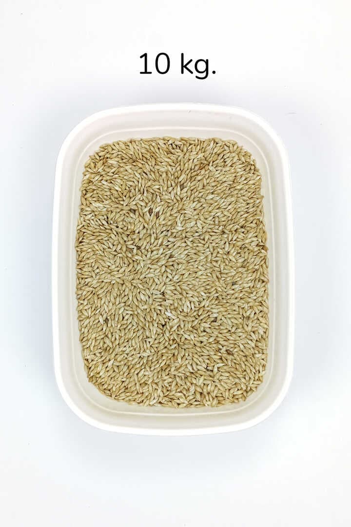 Doğal Taze Kanarya Sade Kuş Yemi - 10 kg