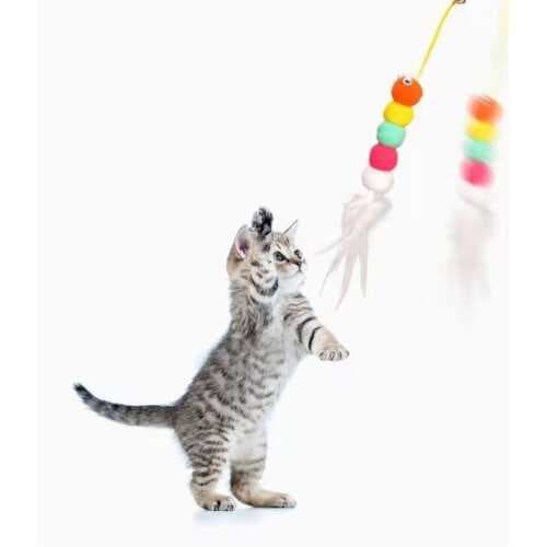 Elastik Kendinden Yapışkanlı Solucan Kedi Oltası