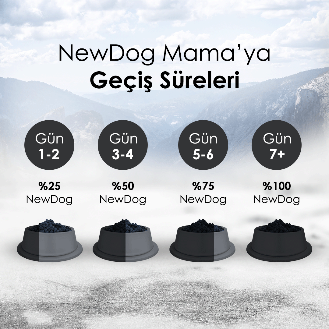 NewDog Kuzu Etli Pirinçli Yetişkin Köpek Maması 15 Kg