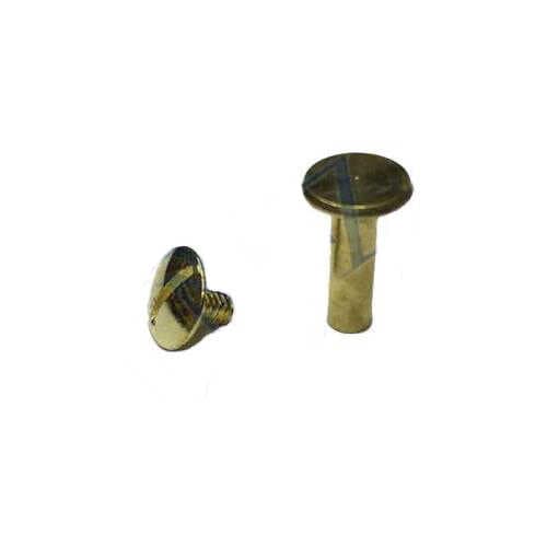 Cilt Menü, Katalog, Kartela Vidası, 20 mm - Sarı, 100 Adet (477477)