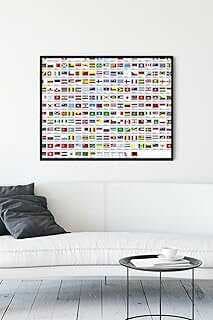 (13748) Ülke Bayrakları Eğitim Çerçeveli Tablo (40x50cm)