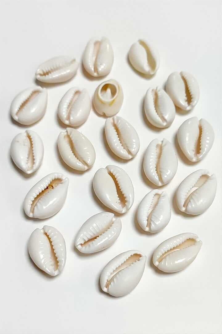 10 Adet Orjinal İstiridye Aparatı Orta