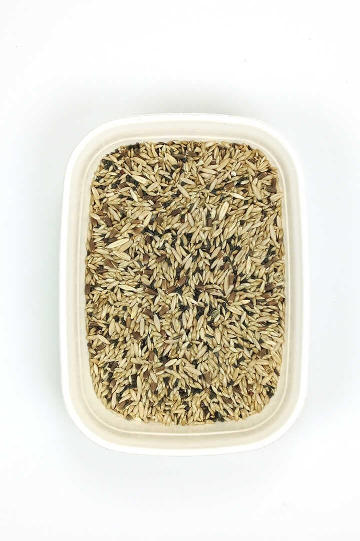 Kanarya Karışık Kuş Yemi Doğal Taze - 3 kg