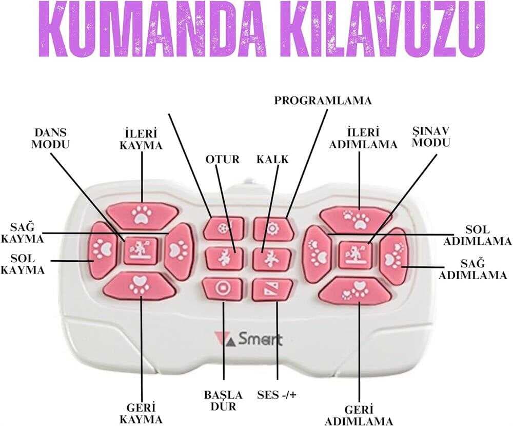 SH40194 U/K DANS EDEN ROBOT KEDİ