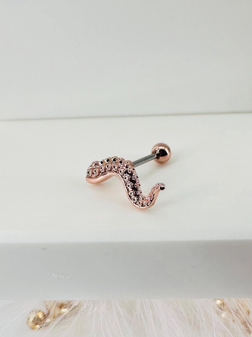 Tragus Kıkırdak Küpesi