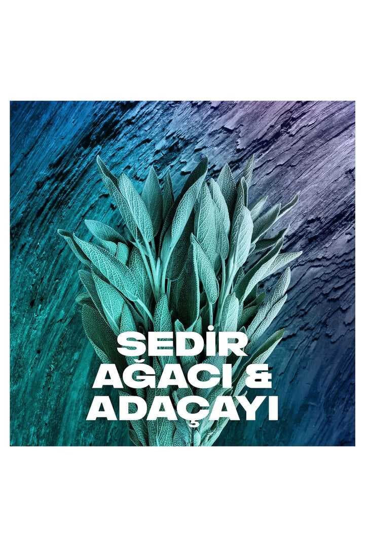 2 Adet Axe Erkek Sprey Deodorant Apollo 48 Saat Etkileyici Koku Vücut Spreyi 150 ml