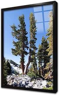 Orma Çerçeveli Cam Tablo 20x30 cm CA20478