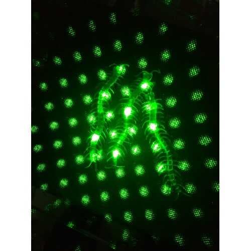 Şaka Yılan ve Kırkayak Karışık 36 Adet