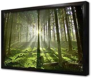 Güeş ve Yeşil Doğa Çerçeveli Cam Tablo 20x30 cm CA20101