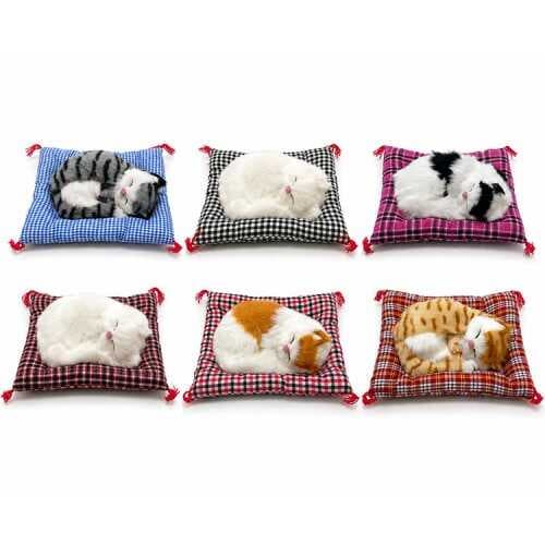 Yastıkta Uyuyan Kedi Sesli Alk25
