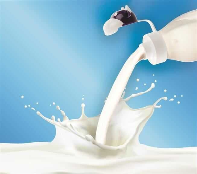 İnek Tasarımlı Sevimli Cam Suluk - Süt Şişesi 1000 ML (477477)