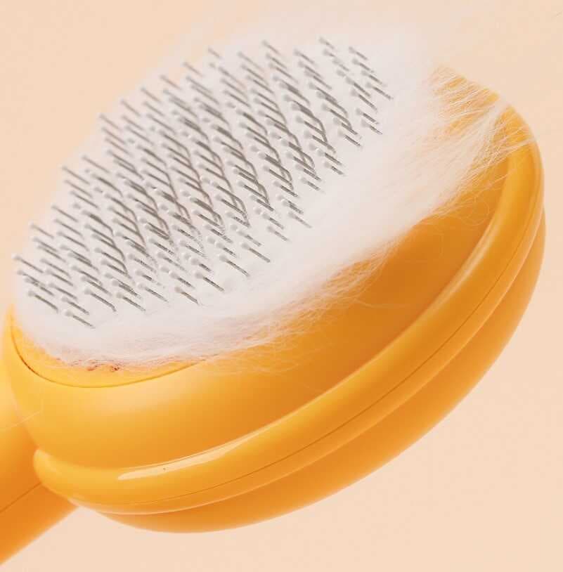 Hamburger Şekilli Otomatik Temizlenen Evcil Hayvan Fırçası