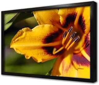 Makro Çekim Çiçek Çerçeveli Cam Tablo 30x40 cm CA03305