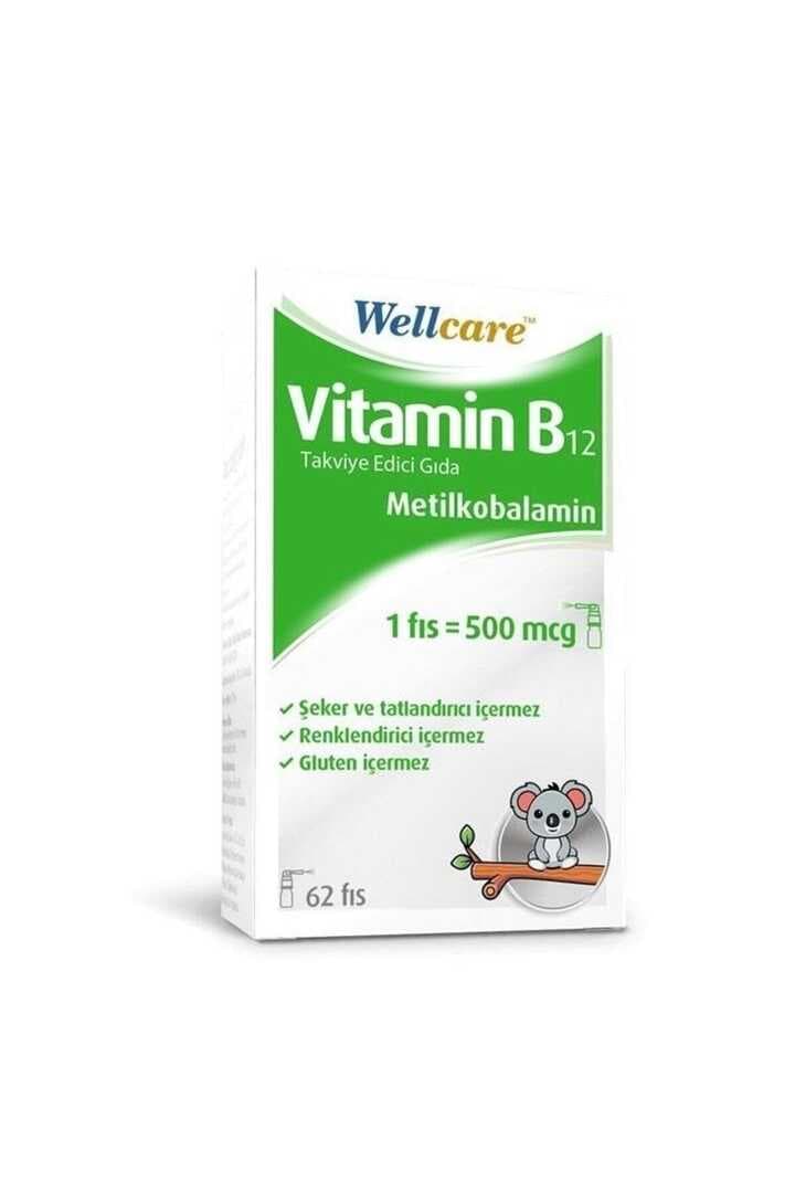Wellcare Vitamin B12 - 500 Mcg