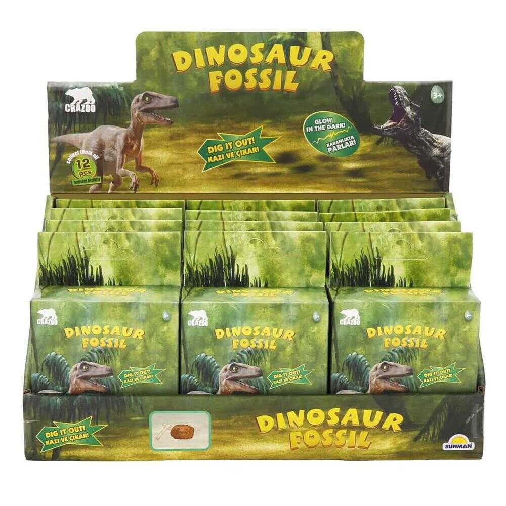 S00003202 RST-CRZ-KAZI SET FOSİL DİNOZOR 12D- SUN
