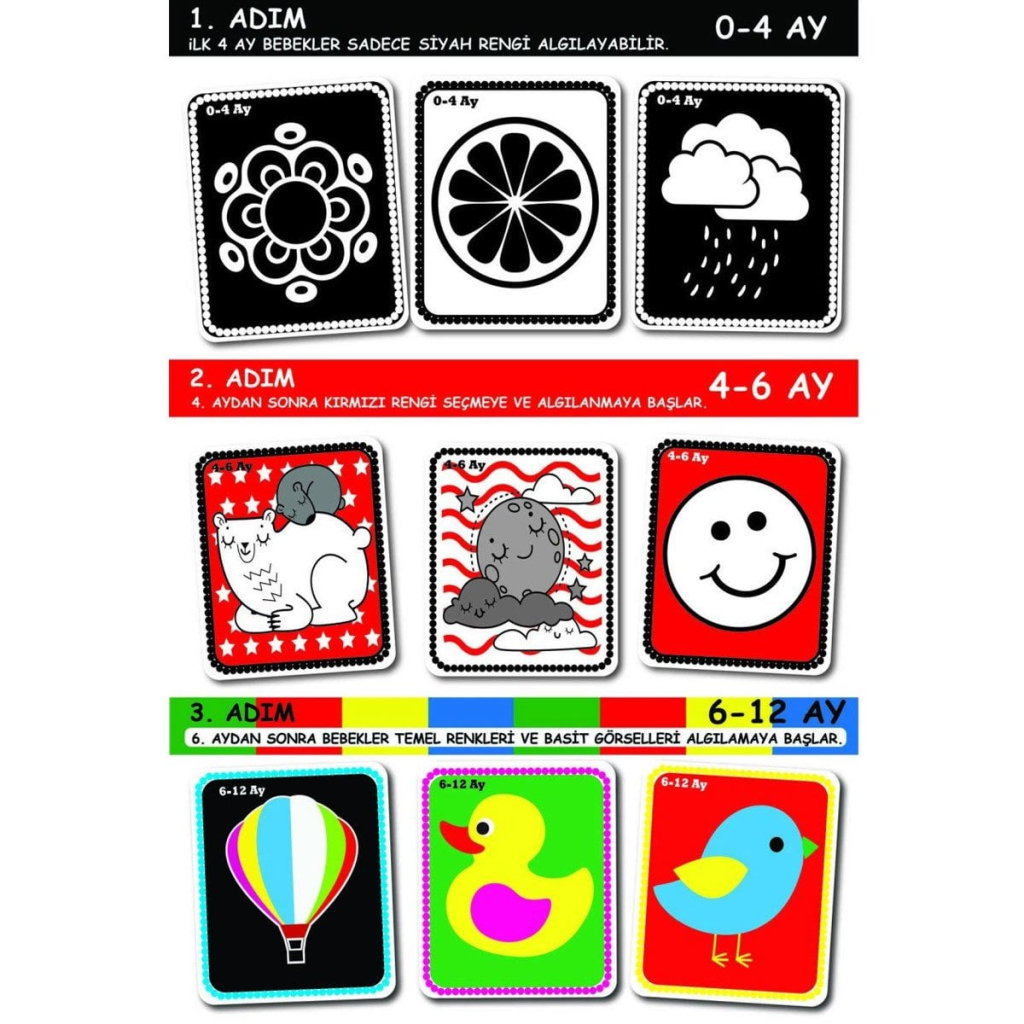 1369 BEBEĞİMİN İLK ZEKA KARTLARI