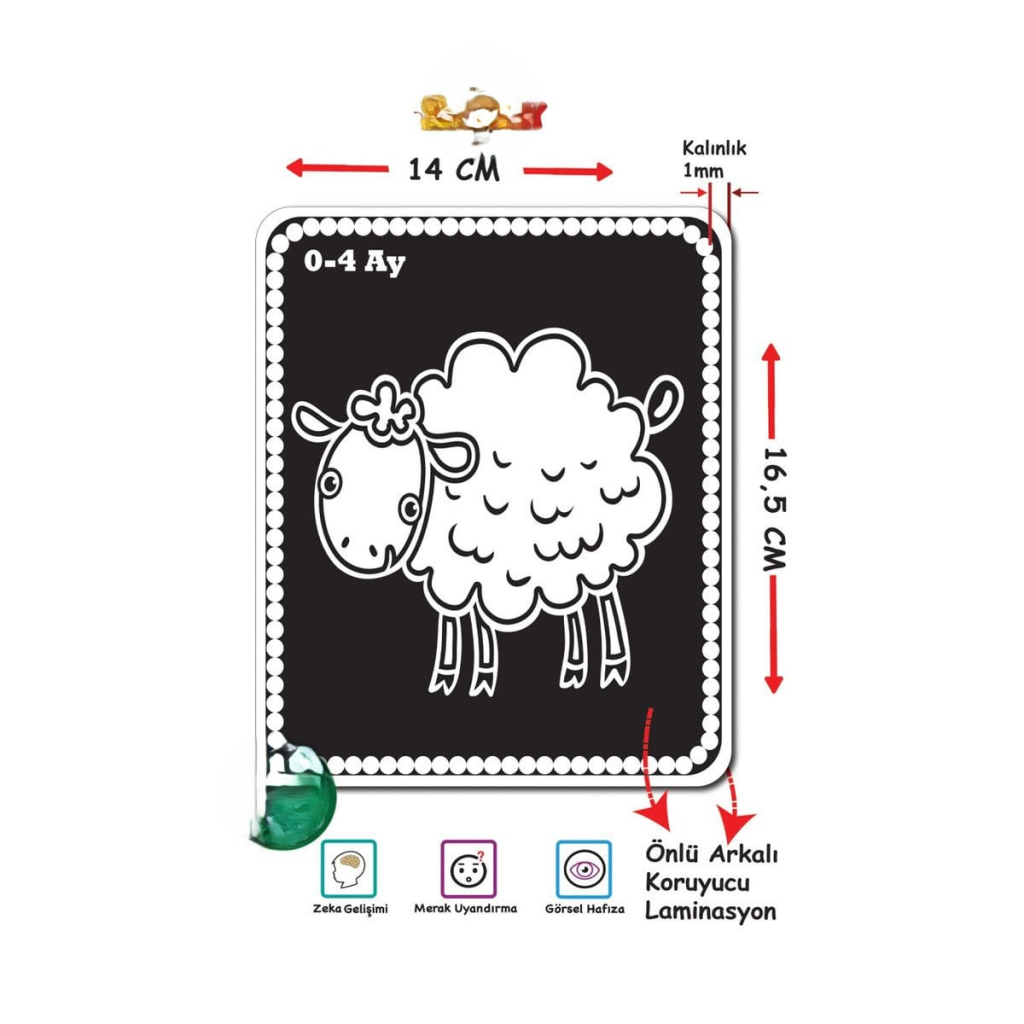 1369 BEBEĞİMİN İLK ZEKA KARTLARI
